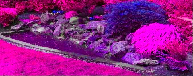jardin-zen-japonais.jpg